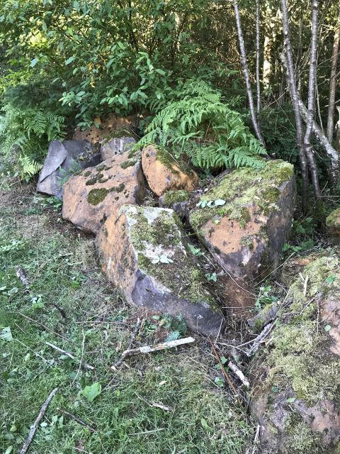 1989 Ford Bronco - Large, moss-covered boulders are scattered on the ground amidst ferns and trees.