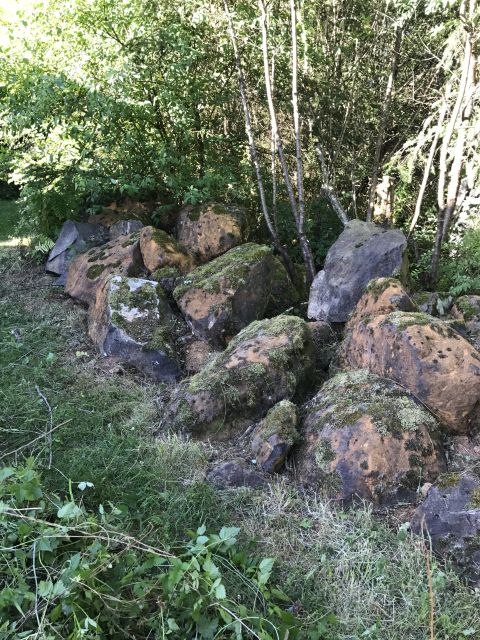 1989 Ford Bronco - A collection of large, moss-covered rocks sits on grassy ground near dense foliage.