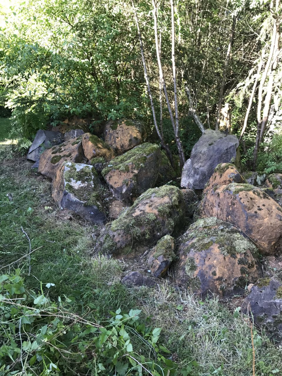 Pile of mossy boulders in front of trees
