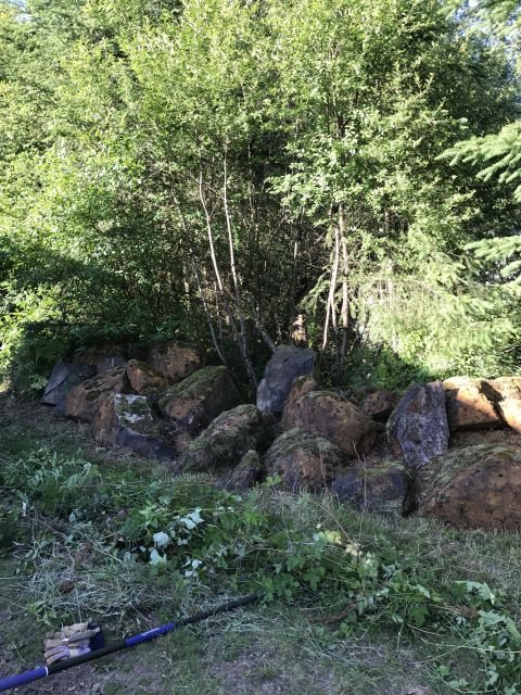1989 Ford Bronco - A collection of moss-covered rocks are arranged in front of dense trees and foliage.
