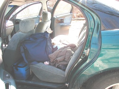 1995 Dodge Intrepid “Negative Energy”