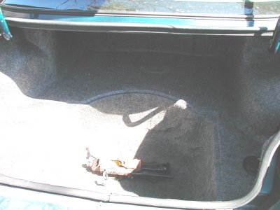 1995 Dodge Intrepid “Negative Energy”