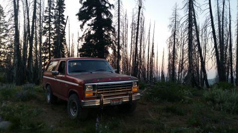 1981 Ford Bronco - A vintage Ford Bronco sits parked on a dirt path surrounded by tall, dead trees in a forest setting.