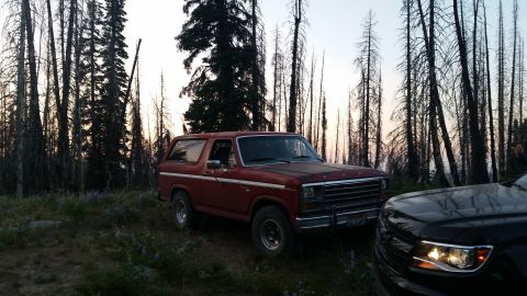 1981 Ford Bronco - A red 1980 Ford Bronco is parked in a wooded area next to a black SUV.