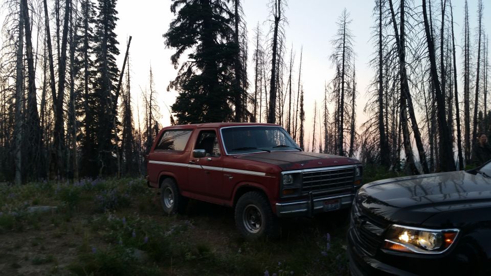 Red 1980 Ford Bronco parked in a forest with a black SUV to its right