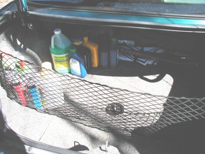 1995 Dodge Intrepid “Negative Energy”