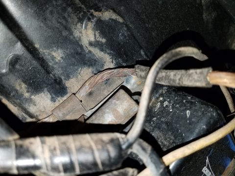 1971 Ford Mustang - Close-up of a frayed wiring harness, likely from a 1971 Ford Mustang, showing exposed copper strands.