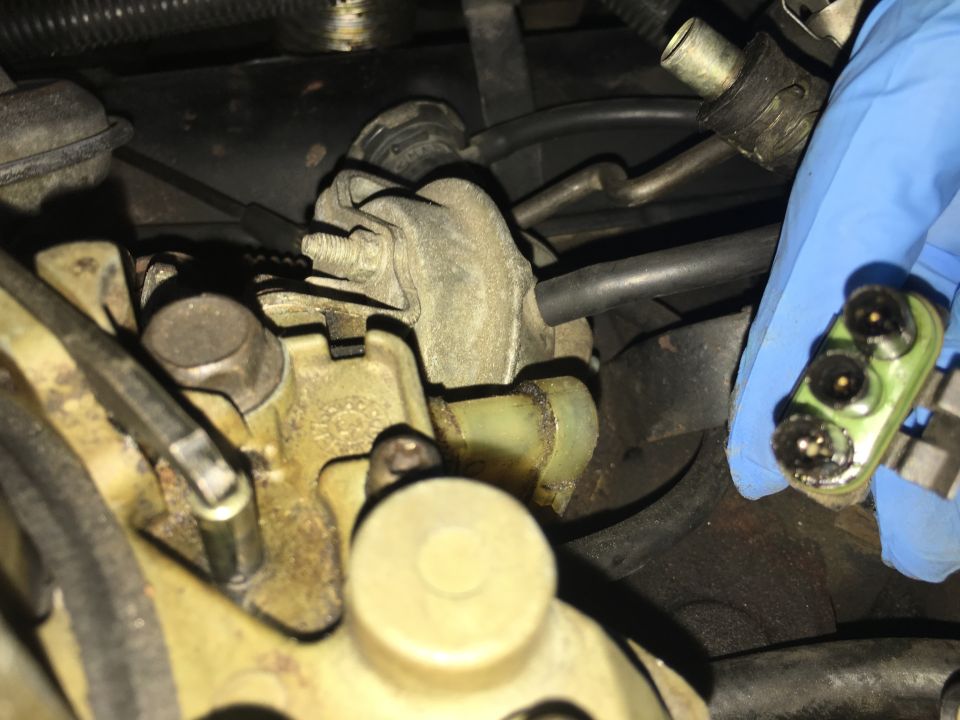 Close-up of a green electrical connector with three pins being held by a blue gloved hand, disconnected from a dirty engine bay.