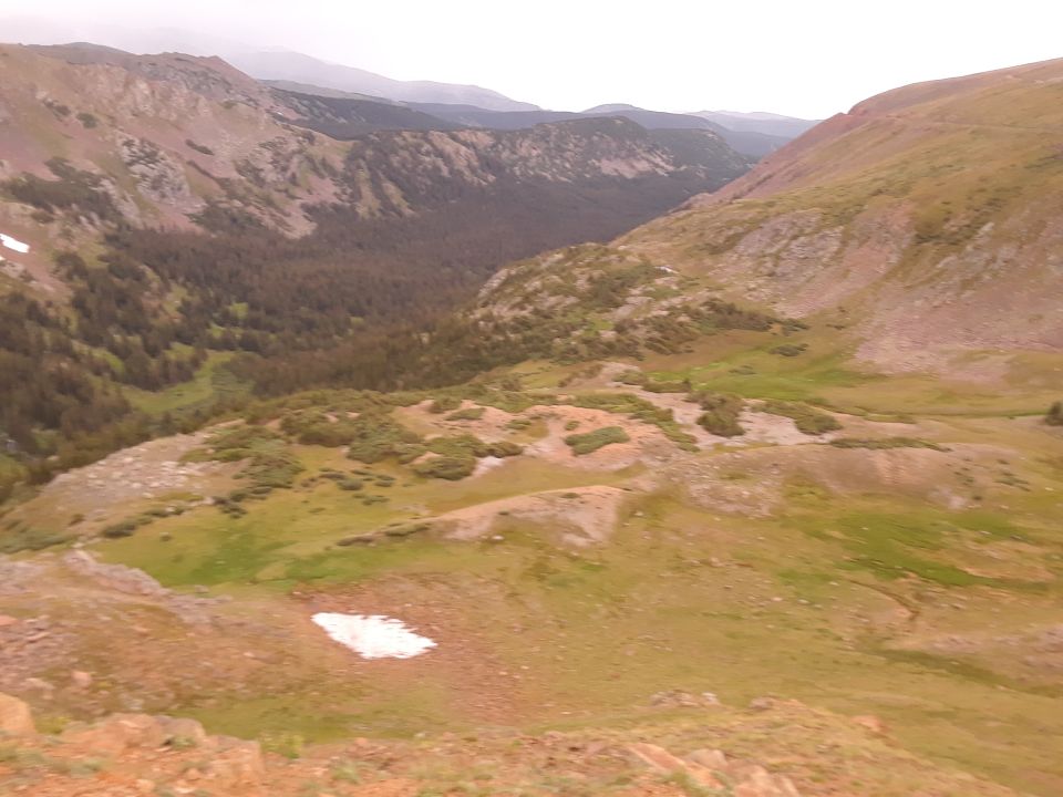 Mountain valley with pine trees, grassy slopes, and a patch of snow