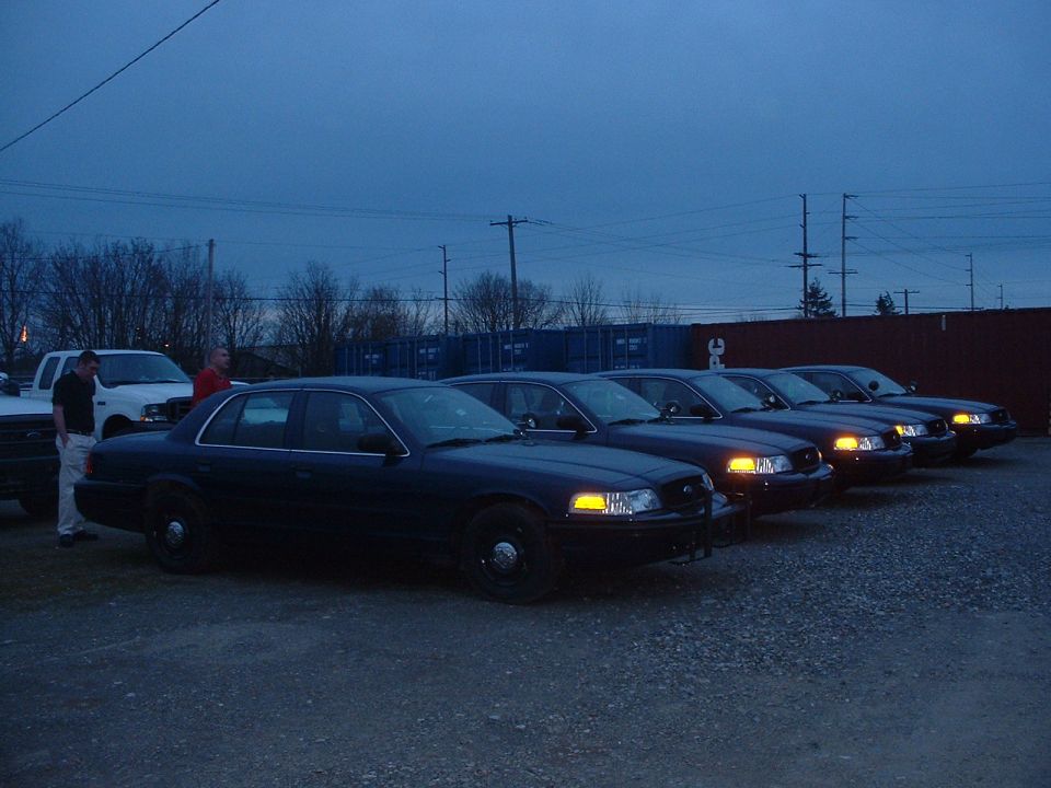 Row of dark blue PIs.
