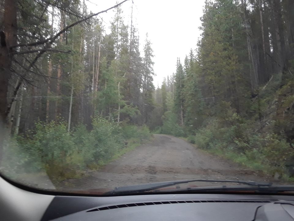 View from inside a vehicle looking out at a gravel road surrounded by trees