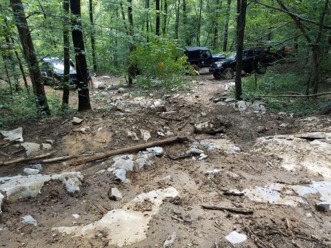 1988 Ford Bronco - Several off-road vehicles traverse a challenging, wooded path with significant mud and rocks.