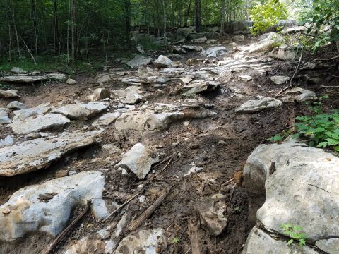 1988 Ford Bronco - A muddy, rocky, and wooded trail with large stones and fallen branches.