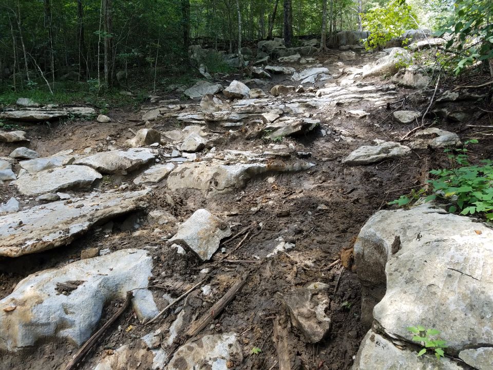 A muddy and rocky trail in a forest.