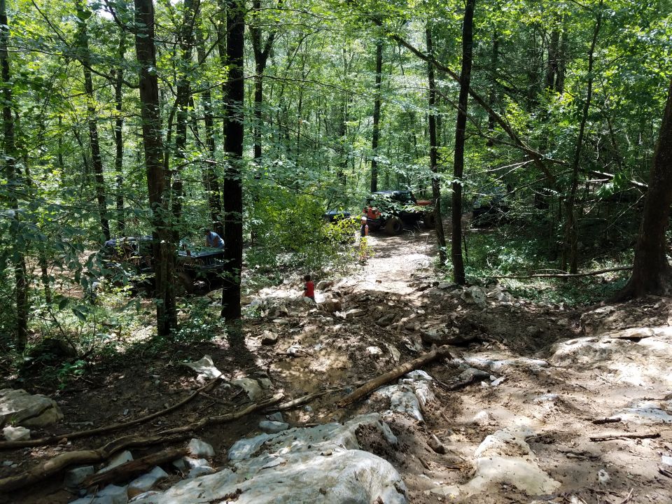 Off-road vehicles on a muddy forest trail.