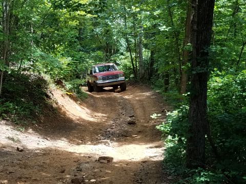 1988 Ford Bronco - Red 1988 Ford Bronco navigates a wooded trail with a steep embankment.