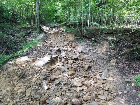 1988 Ford Bronco - Off-road trail conditions in a wooded area show significant rocks and mud.