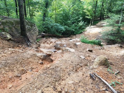 1988 Ford Bronco - A rough, wooded trail with rocks and dirt suggests a challenging off-road path.