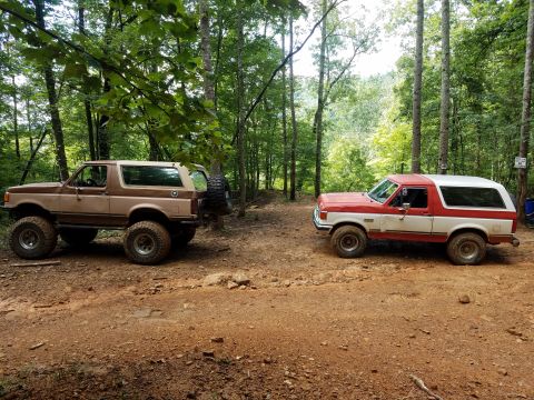 1988 Ford Bronco - Two Ford Broncos, one brown and tan and the other red and white, are parked on a dirt path in a wooded area.