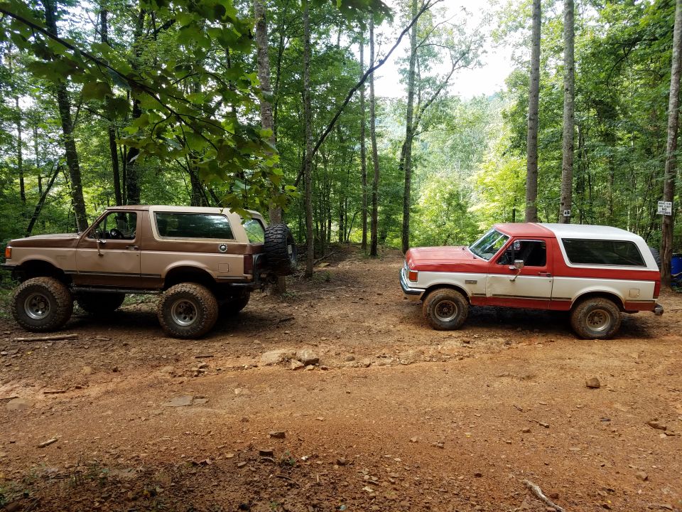 Two Ford Broncos parked on a dirt road in a forest; one is brown and tan, the other is red and white