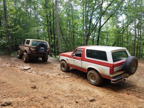 1988 Ford Bronco - Two Ford Broncos navigate a wooded trail, one in red and white, the other in brown and tan.
