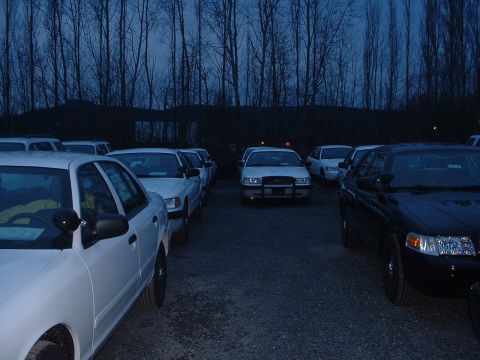 1999 Ford Crown Victoria - And more white PIs.