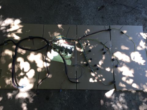 1981 Ford LTD - Pulled the entire harness out of the car to wrap it up. The whole thing pretty much pops out as a single harness. All the wires terminate i…