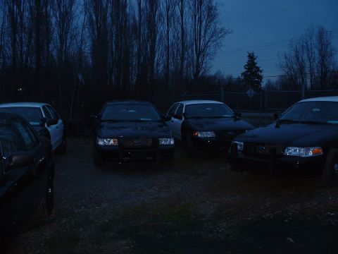 1999 Ford Crown Victoria - Another black PI with a couple black/whites PIs.