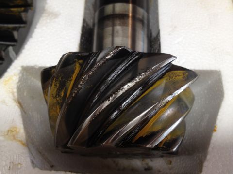 1979 Ford Bronco - This differential gear shows significant wear on its teeth, indicating a need for replacement.