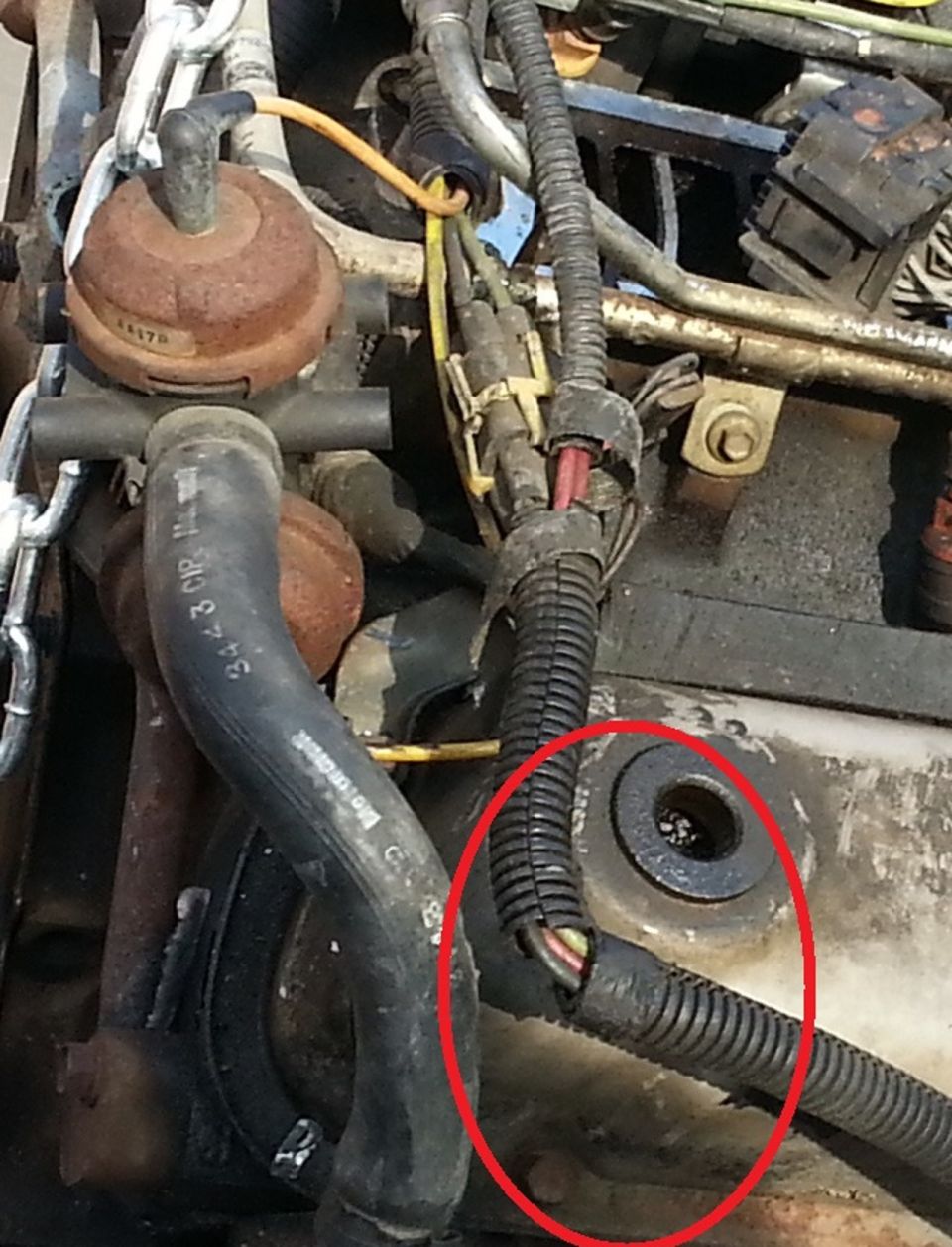 Engine-bay photo with vacuum hoses and a wiring harness circled in red