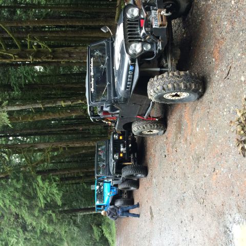 1995 Jeep Wrangler - A line of off-road vehicles are parked on a gravel path surrounded by dense trees.