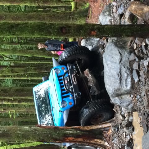 1995 Jeep Wrangler - A blue Jeep Wrangler is shown traversing a challenging, rocky path through a dense forest.