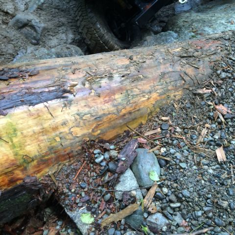 1995 Jeep Wrangler - A vehicle navigates a challenging off-road obstacle course a large fallen tree.