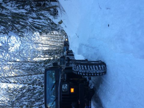 1995 Jeep Wrangler - A line of Jeeps navigates a snow-covered path in a wooded area.