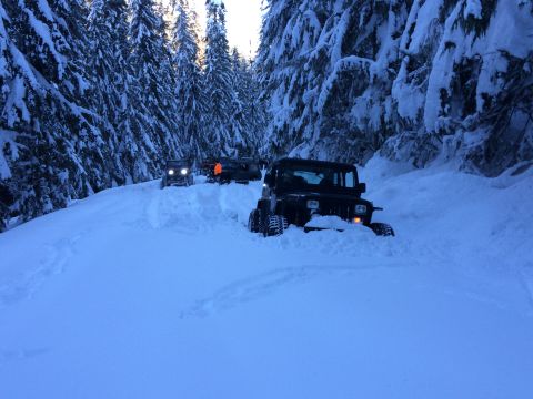 1995 Jeep Wrangler - Multiple Jeeps navigate a snow-covered forest road, with the lead vehicle appearing to be a 1995 Jeep YJ.