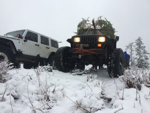 1995 Jeep Wrangler - Two Jeep Wranglers navigate a snowy trail, one carrying a Christmas tree.