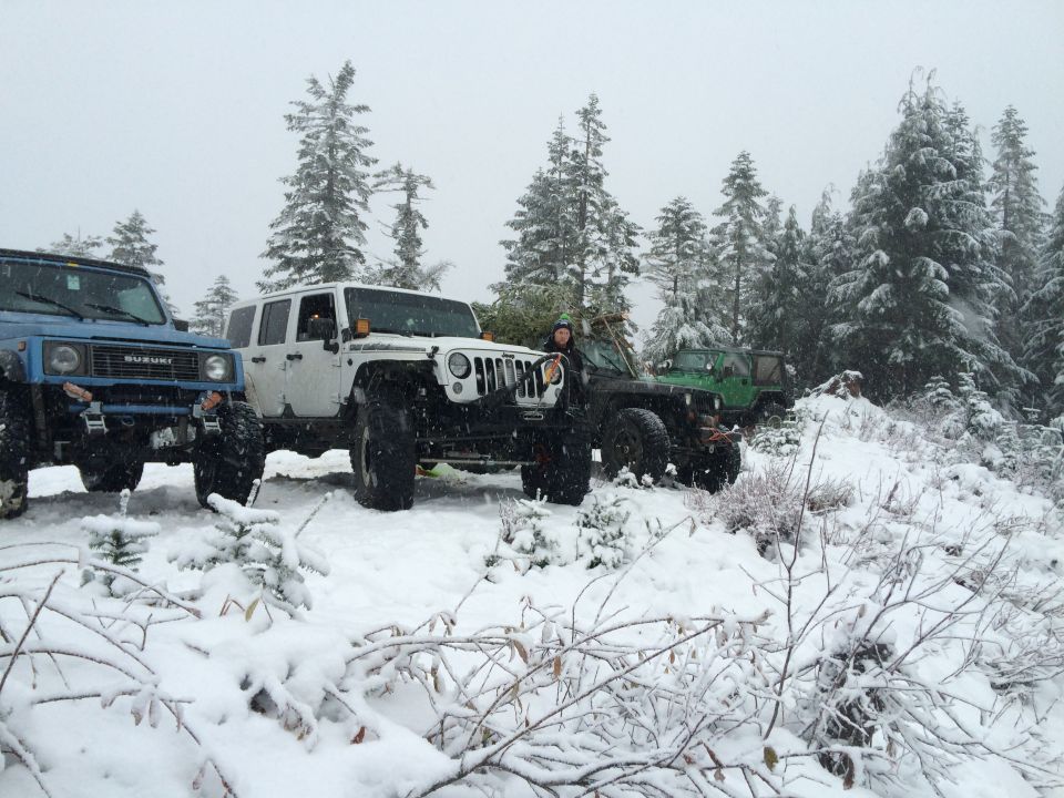 Several off-road vehicles parked in a snowy forest landscape