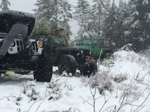1995 Jeep Wrangler - Two Jeeps are parked in a snowy wooded area, with one appearing to have a Christmas tree loaded on top.