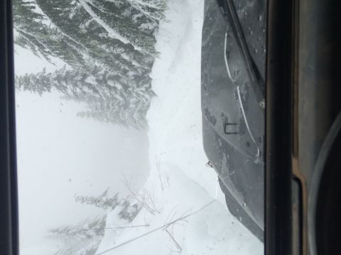 1995 Jeep Wrangler - Jeep Wrangler fender in a snowy forest scene, taken from inside the vehicle.