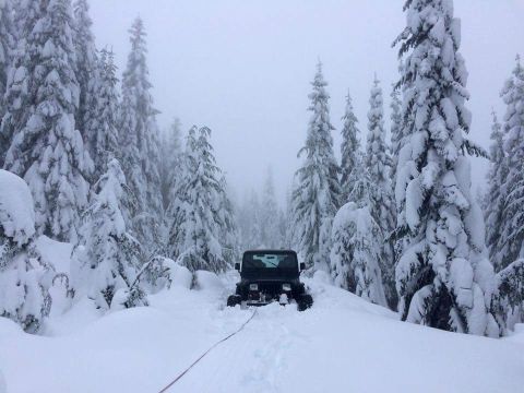 1995 Jeep Wrangler - 1995 Jeep YJ deep in snow on a wooded trail, with a tow strap attached.