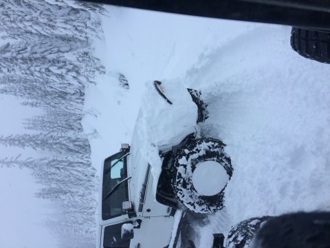 1995 Jeep Wrangler - A white 1995 Jeep YJ navigates through deep snow, its off-road capability.