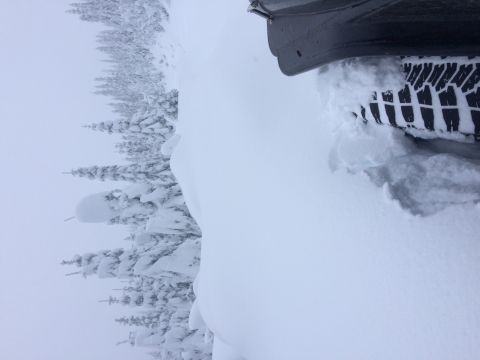 1995 Jeep Wrangler - Tire tracks disappear into a snowdrift, hinting at a vehicle navigating a winter landscape.
