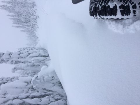 1995 Jeep Wrangler - A vehicle tire is partially visible, stuck in a snowdrift next to icy trees.