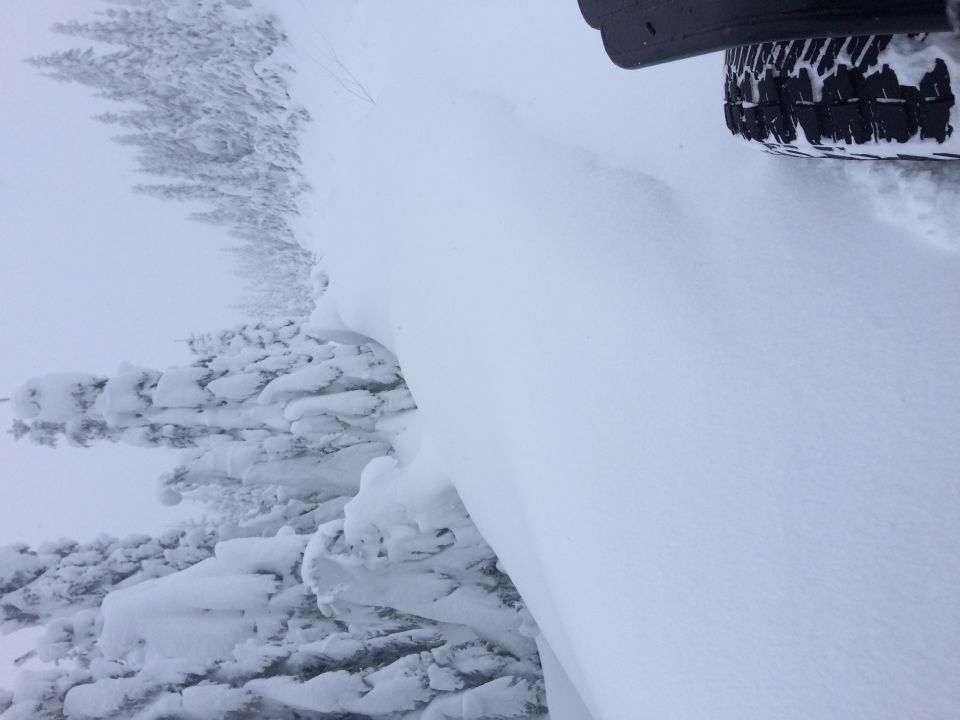 Tire on a vehicle partially covered in snow, with snow-covered trees in the background