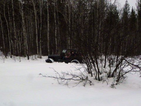 1995 Jeep Wrangler - A Jeep Wrangler is partially submerged in deep snow, surrounded by a dense forest.