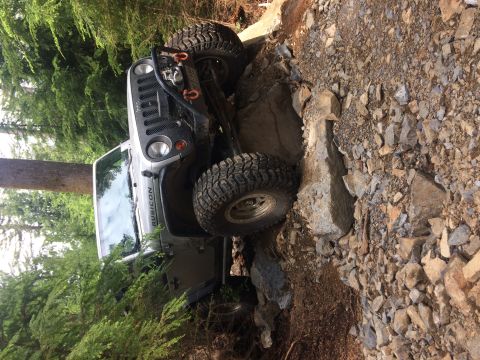 1995 Jeep Wrangler - A Jeep Wrangler Rubicon navigates a challenging rocky trail, with trees and foliage surrounding the path.