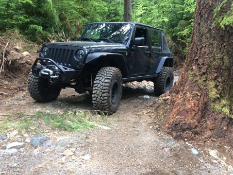1995 Jeep Wrangler - Black Jeep Wrangler navigates a wooded trail with large tires and a winch.