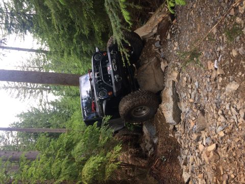 1995 Jeep Wrangler - This black Jeep YJ is shown tackling a challenging rocky trail surrounded by dense forest.