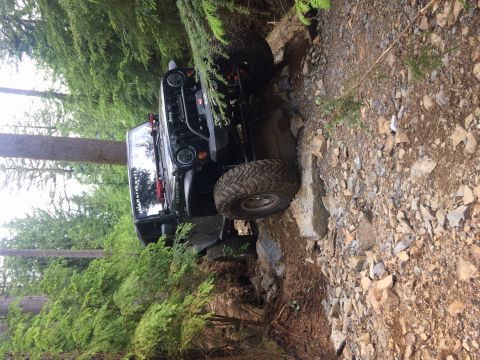1995 Jeep Wrangler - Jeep Wrangler tackling a challenging off-road trail with dense forest surroundings.