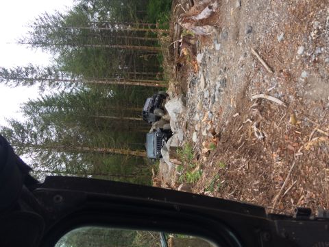 1995 Jeep Wrangler - Jeeps traverse a challenging off-road path through a forest with fallen logs and rocks.